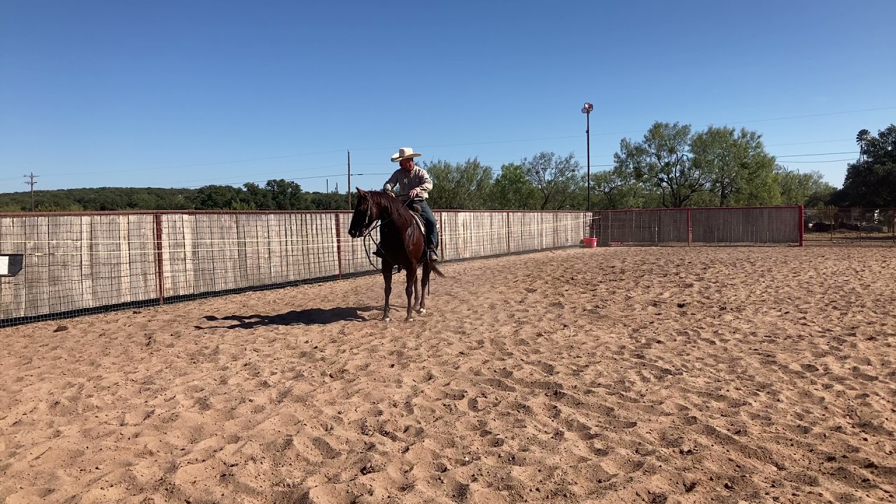 Working your horse on the cutting flag