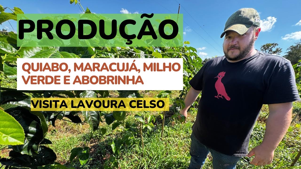 Lavoura em produção: Quiabo, Maracujá, milho verde e abobrinha