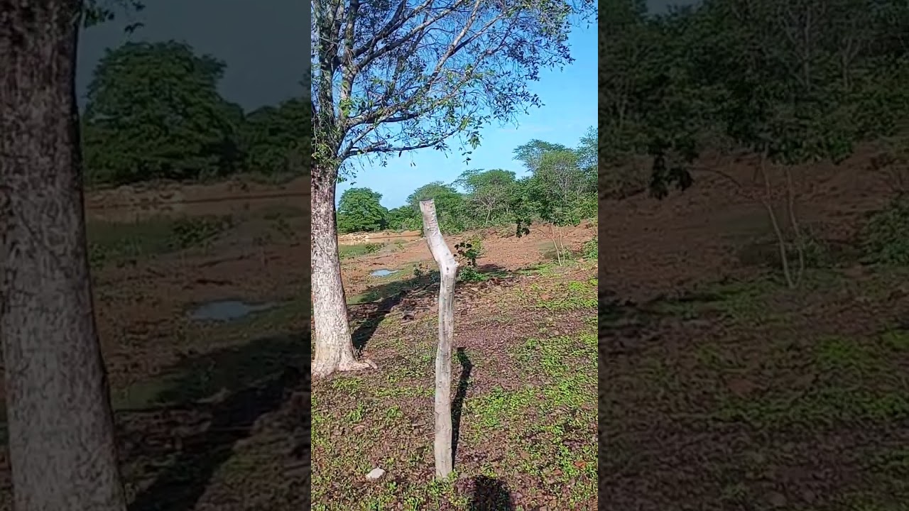 Hoje o lago mas cheio 