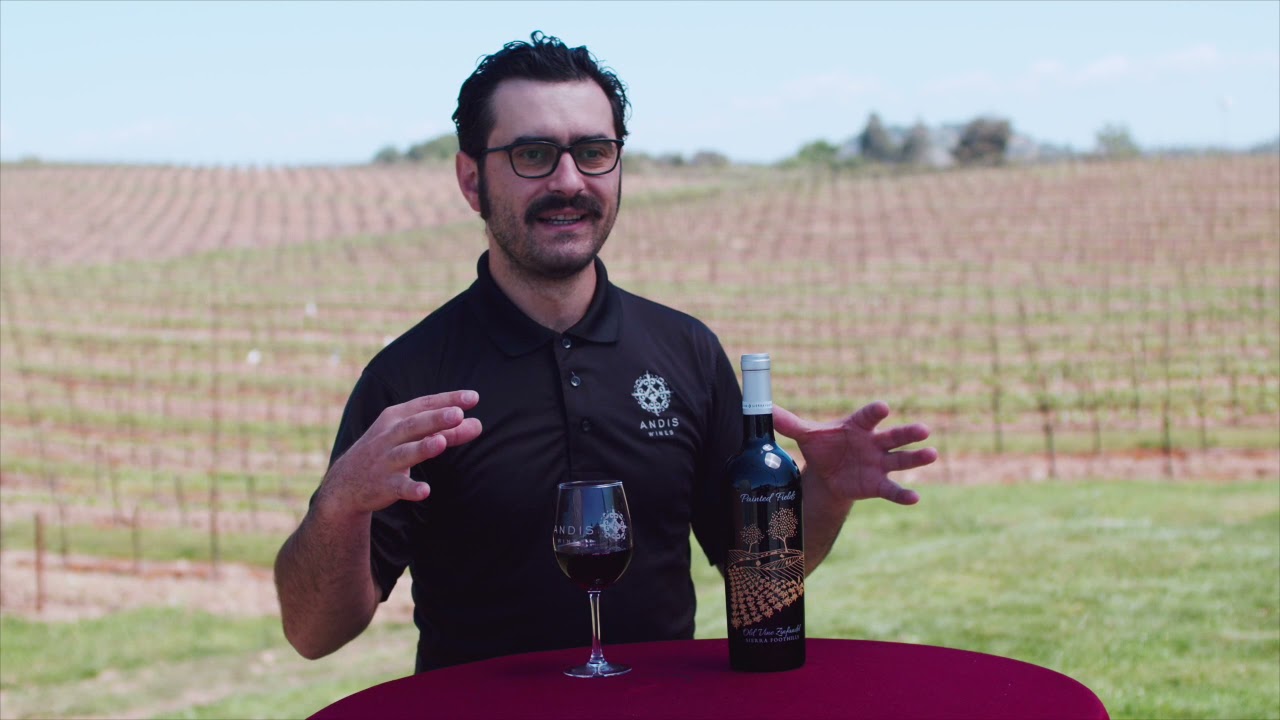 Andis Painted Fields, Old Vine Zinfandel Virtual Wine Tasting