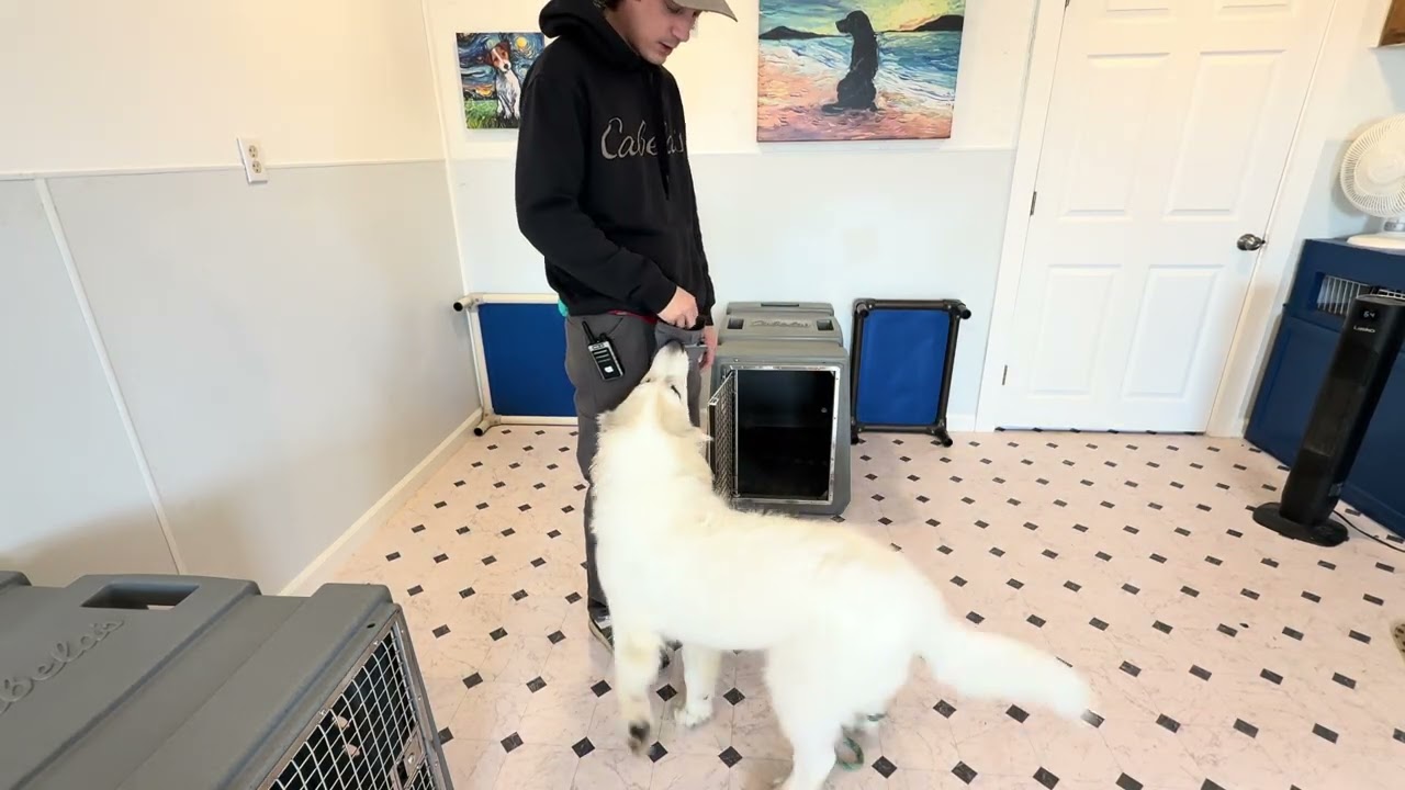 Beau crate practice 