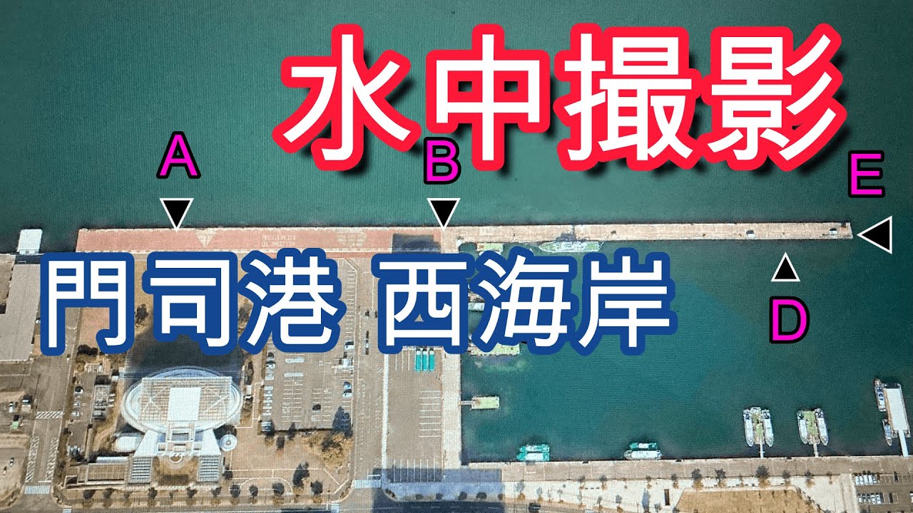 【必見！】門司港 西海岸 海峡ミュージ アム前～赤灯台 水中撮影