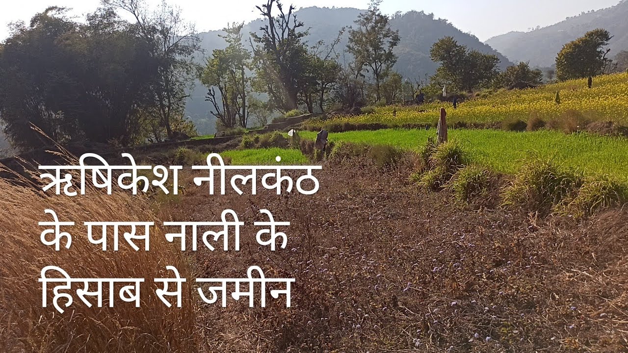 नीलकंठ के पास नाली के हिसाब से जमीन रजिस्ट्री दाखिला ☎️ 9897311676 राम सिंह