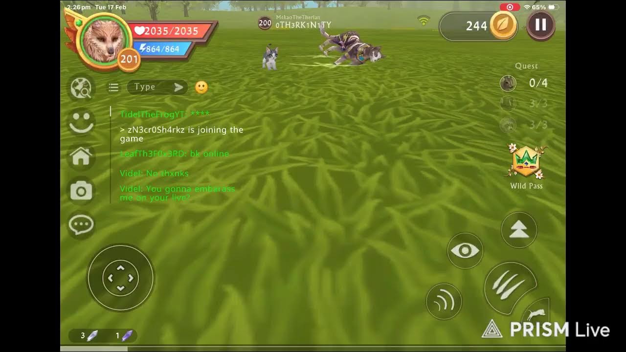 Live streaming of TidelTheFrog