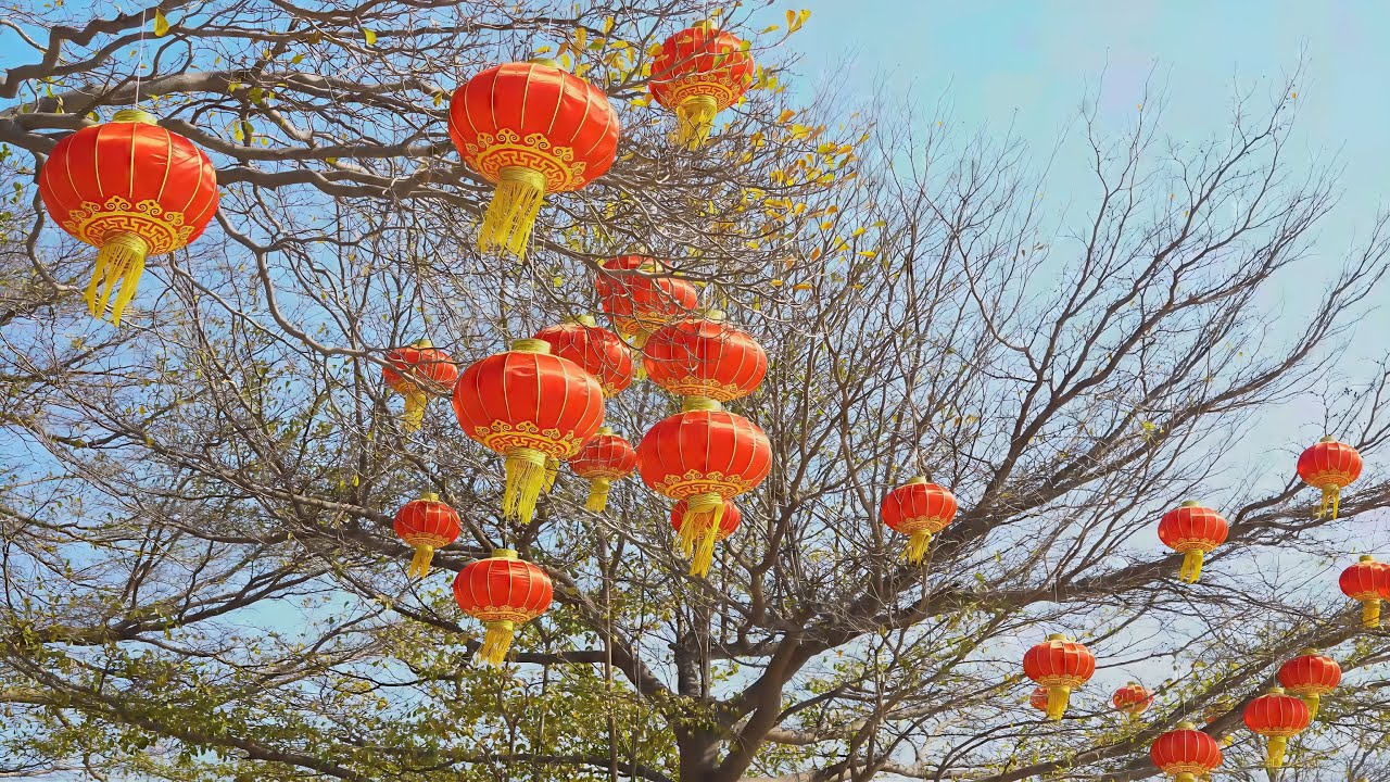 1 Hour 陈淑桦 ❤️春之晨❤️Chun Zhi Chen【DJ版】(新年歌曲2026) @NiceMusicBox-ChineseNewYear