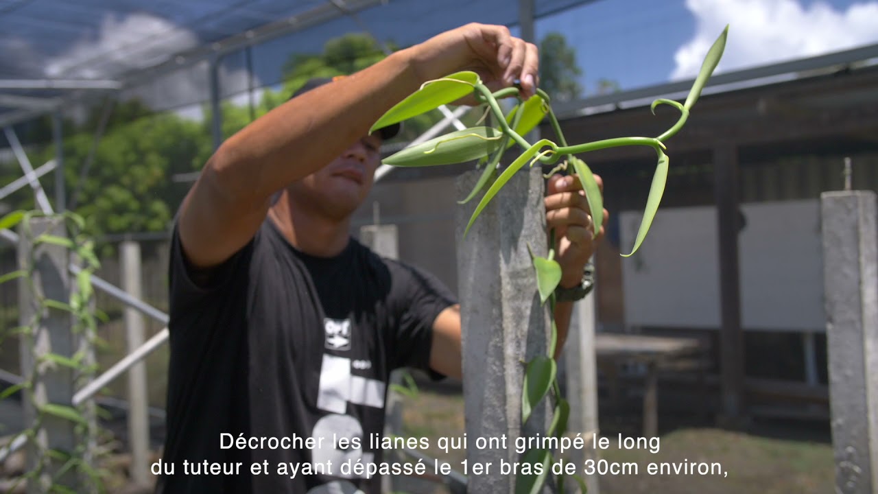 [Tuto FR] 5 - Le bouclage