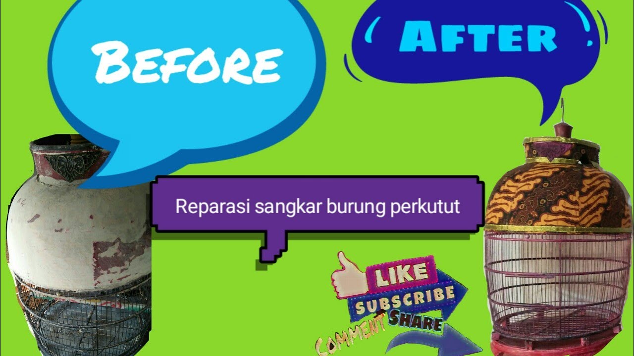 MEMPERBAIKI SANGKAR PERKUTUT #modifikasisangkar#memperbaiki#kubahsangkar