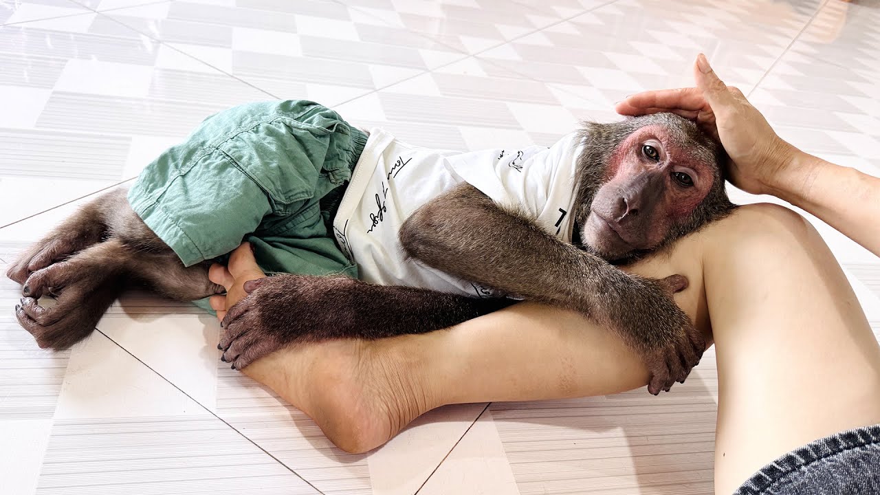 Abu Sadly Hugs Cameraman's Leg When He Doesn't See Mom at Home