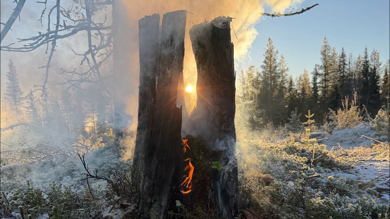 Burning Kelo Wood at Sunrise | Arctic Fire Sounds from Lapland