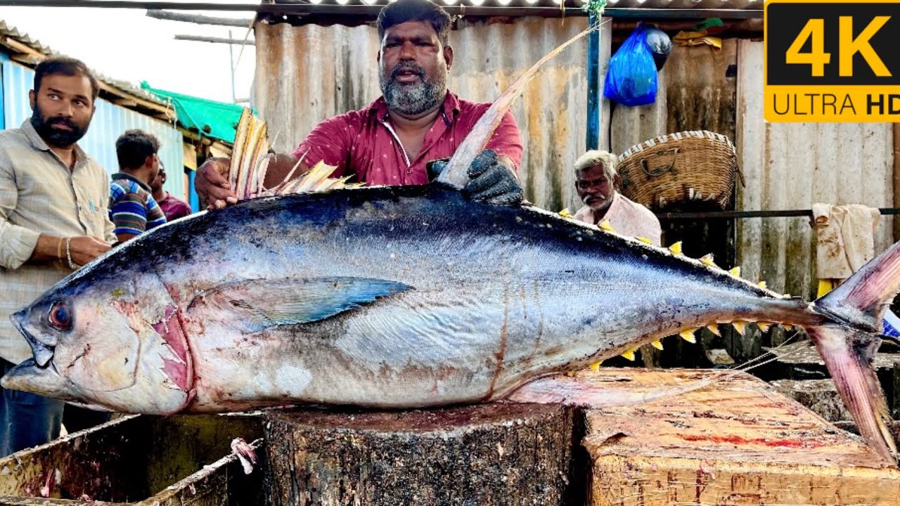 Видео разделки тунца/fishcuttingrs#fish #kasimedu #fishcuttingrs