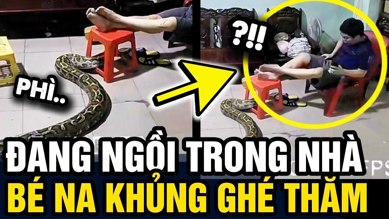 Đang NGỒI NHÀ, thanh niên HỒN VÍA LÊN MÂY khi thấy BÉ NA xuất hiện | Tin 3 Phút