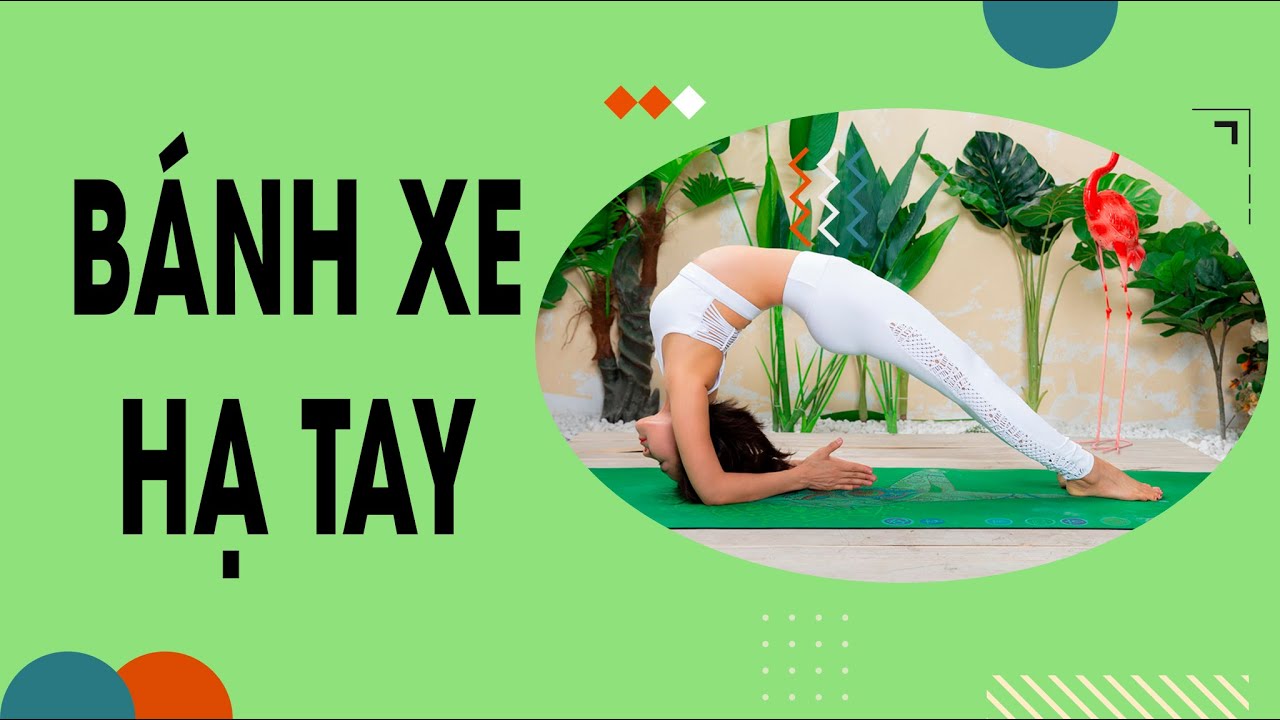 Thực hành tư thế Bánh xe hạ tay (Wheel pose) | Tập yoga tại nhà