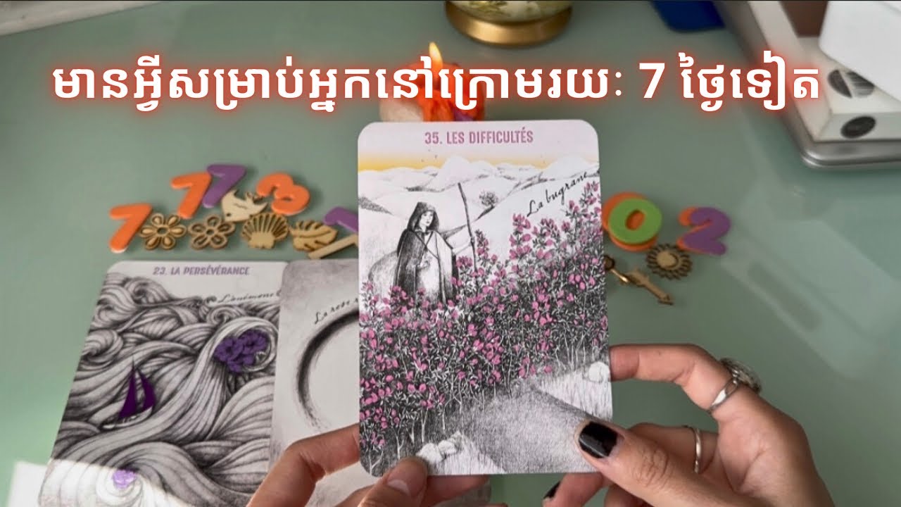 មានអ្វីខ្លះសម្រាប់អ្នកក្រោមរយៈពេល 7 ថ្ងៃនេះ