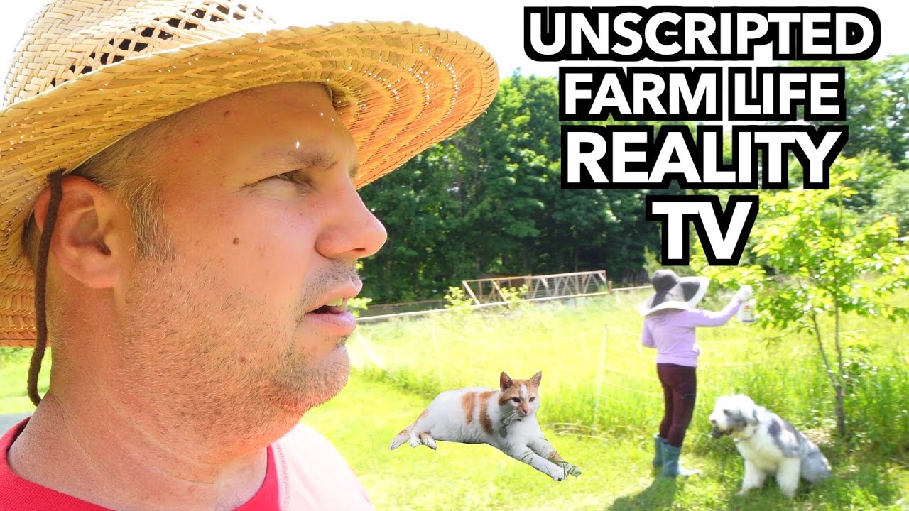 A Great Canadian Homestead Lifestyle Vlog
