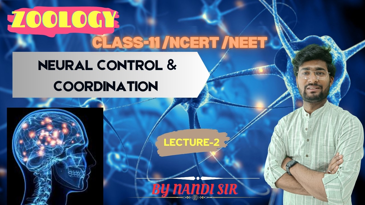 NEET Biology 2027: Neural Control & Coordination | Lecture 2 | Class 11th Biology | By Nandi Sir