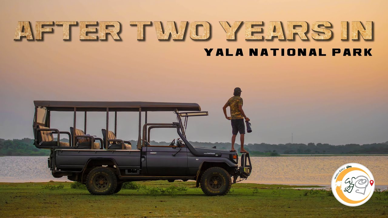 After Two Years in Yala National Park... අවුරුදු දෙකකින් යාලට.. #wildlife #wildlifephotography