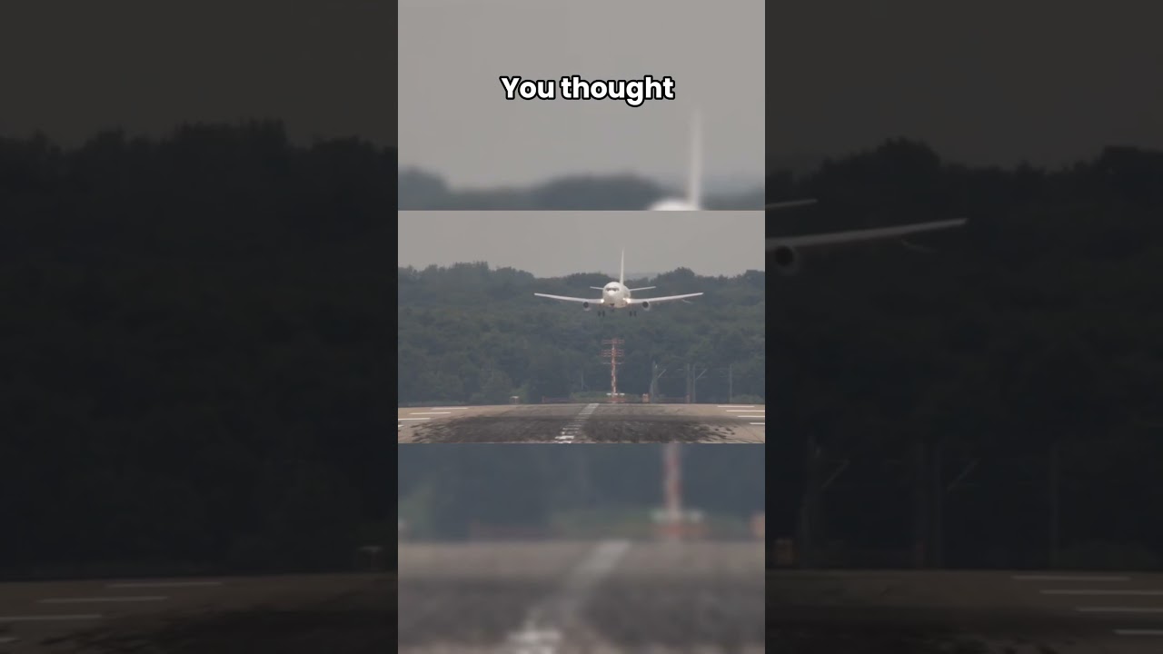 The most iconic planes ever #remix #rave #music #airplanegeek #shorts #viral