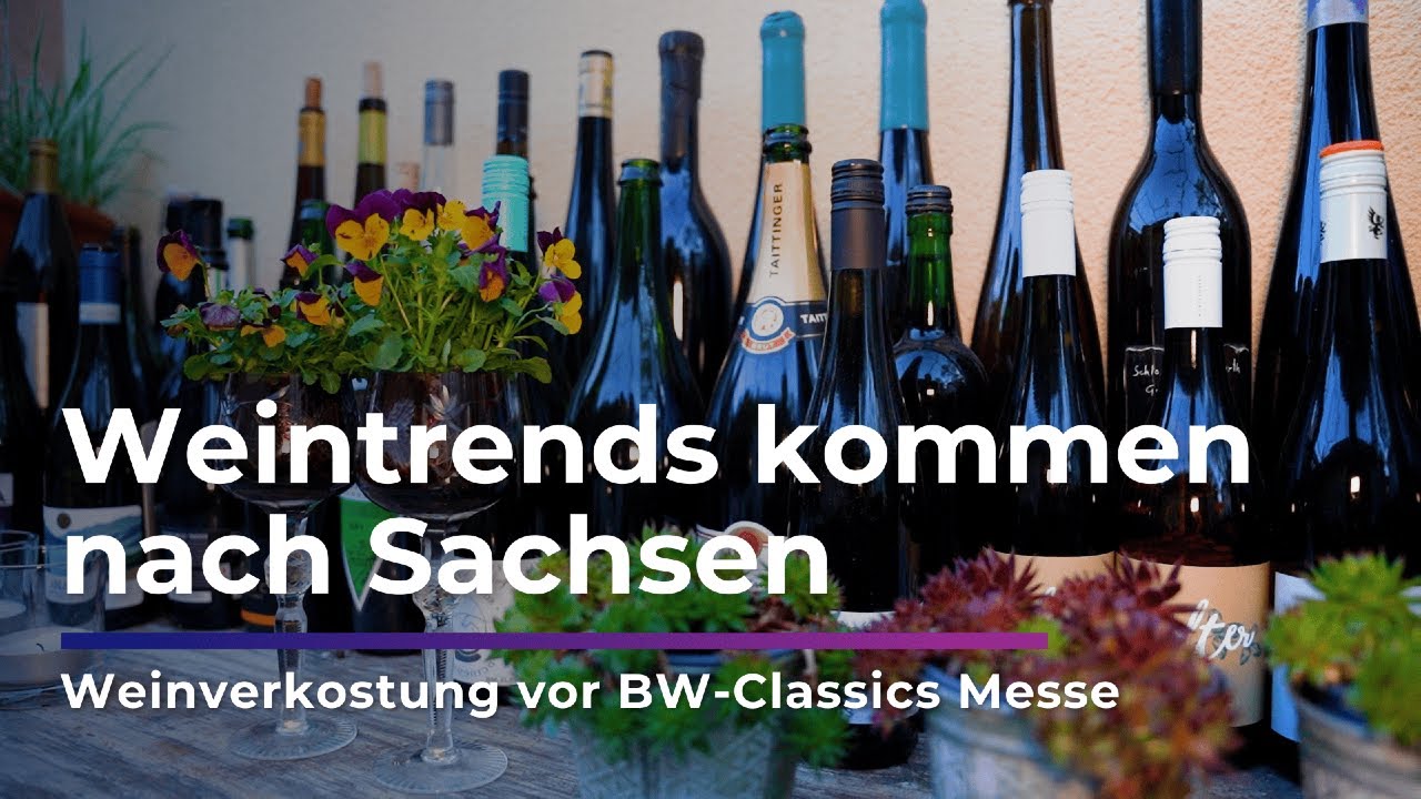 Weintrends in SACHSEN I Sachsen Fernsehen