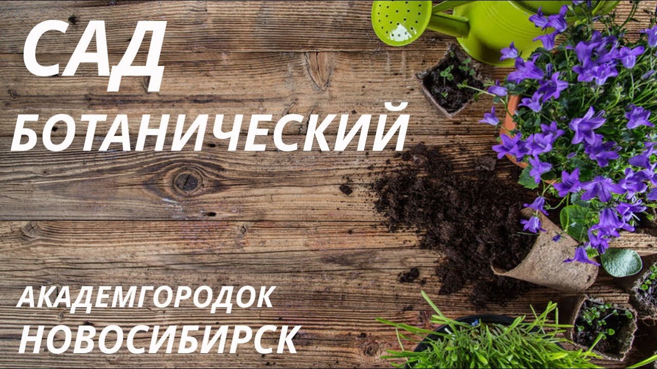 Ботанический сад в Новосибирске Академгородок