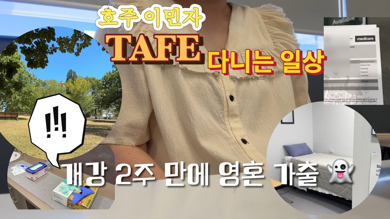 누가 TAFE 쉽다고 했나요? 호주 이민자 TAFE 생존기 🌶️