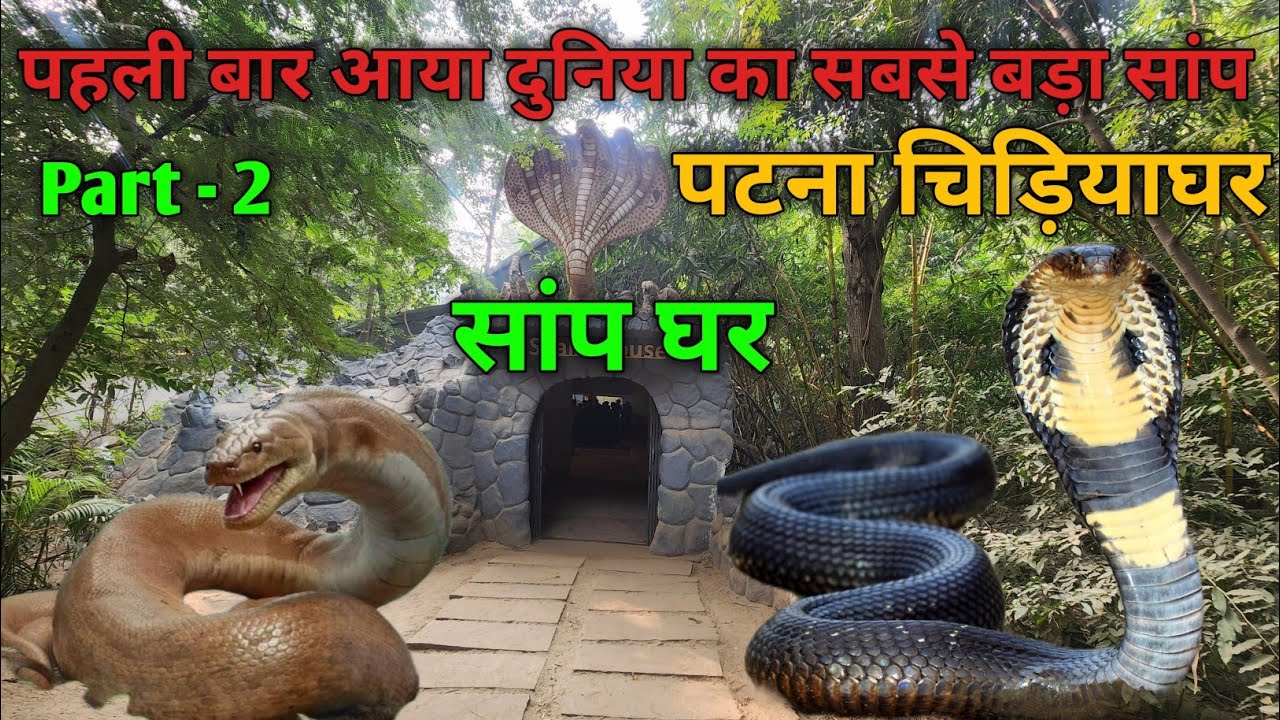 पटना चिड़ियाघर का पूरा टूर | Patna Zoo | Sanjay Gandhi Biological Park | SonuVlogsWorld
