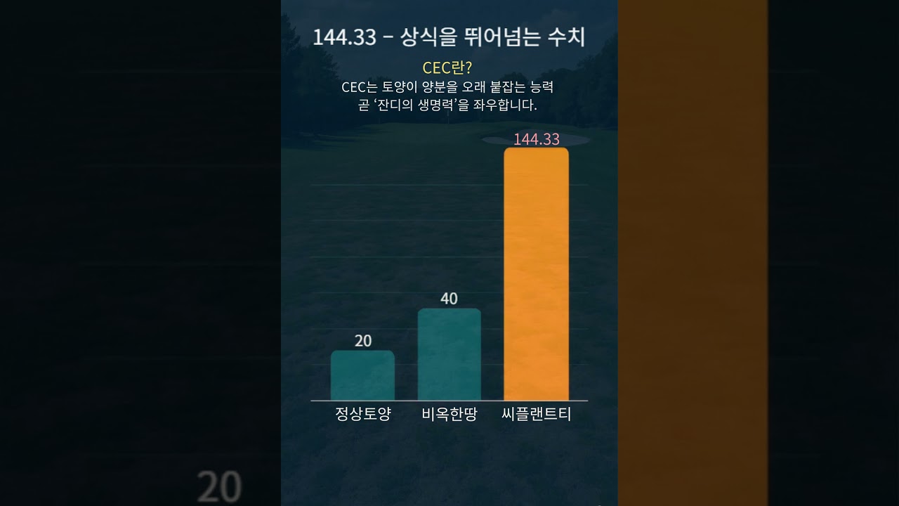 ⛳ 골프장의 잔디, 그 비밀은 씨플랜트티! 144 33 &ndash; 상식을 뛰어넘는 수치