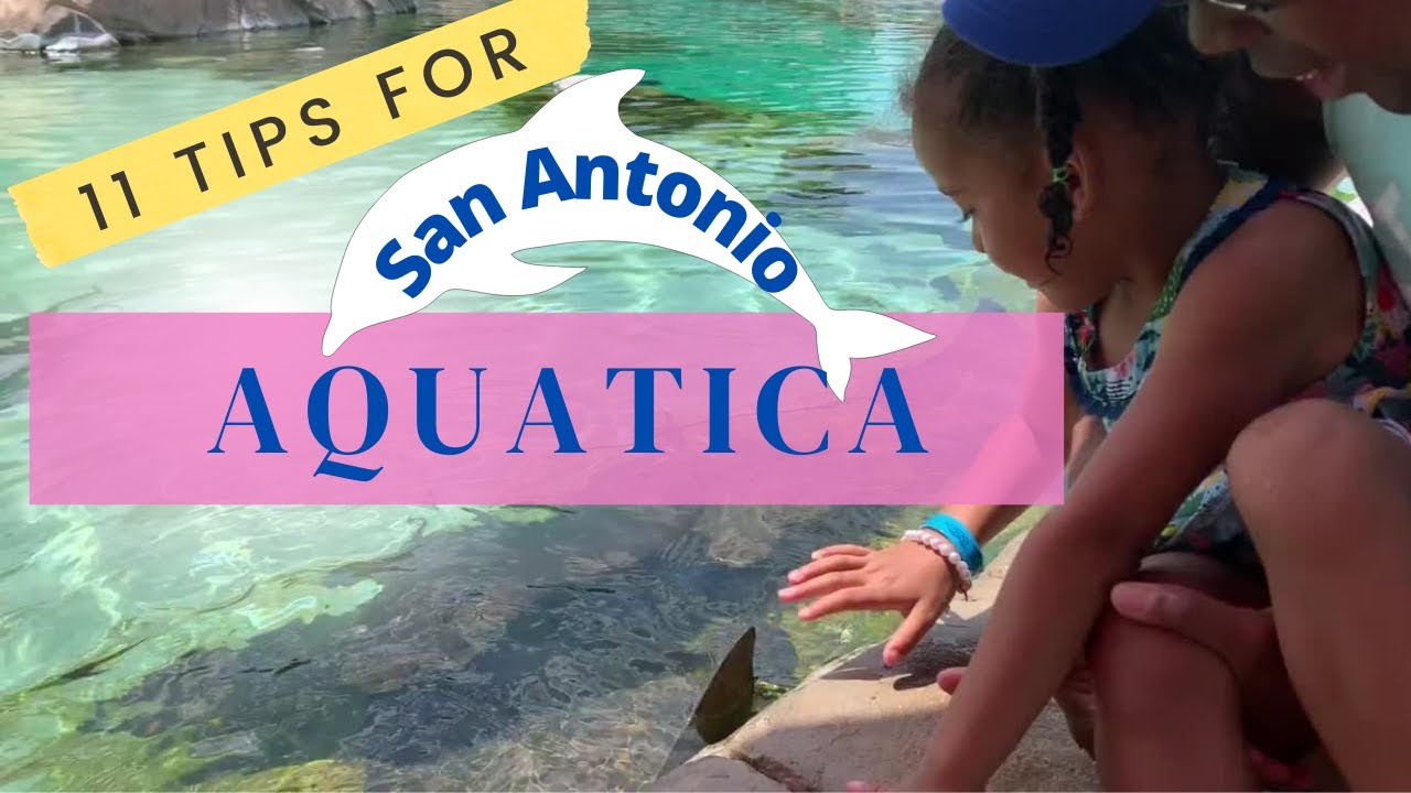San Antonio Aquatica: 11 Tips for Visiting with Kids