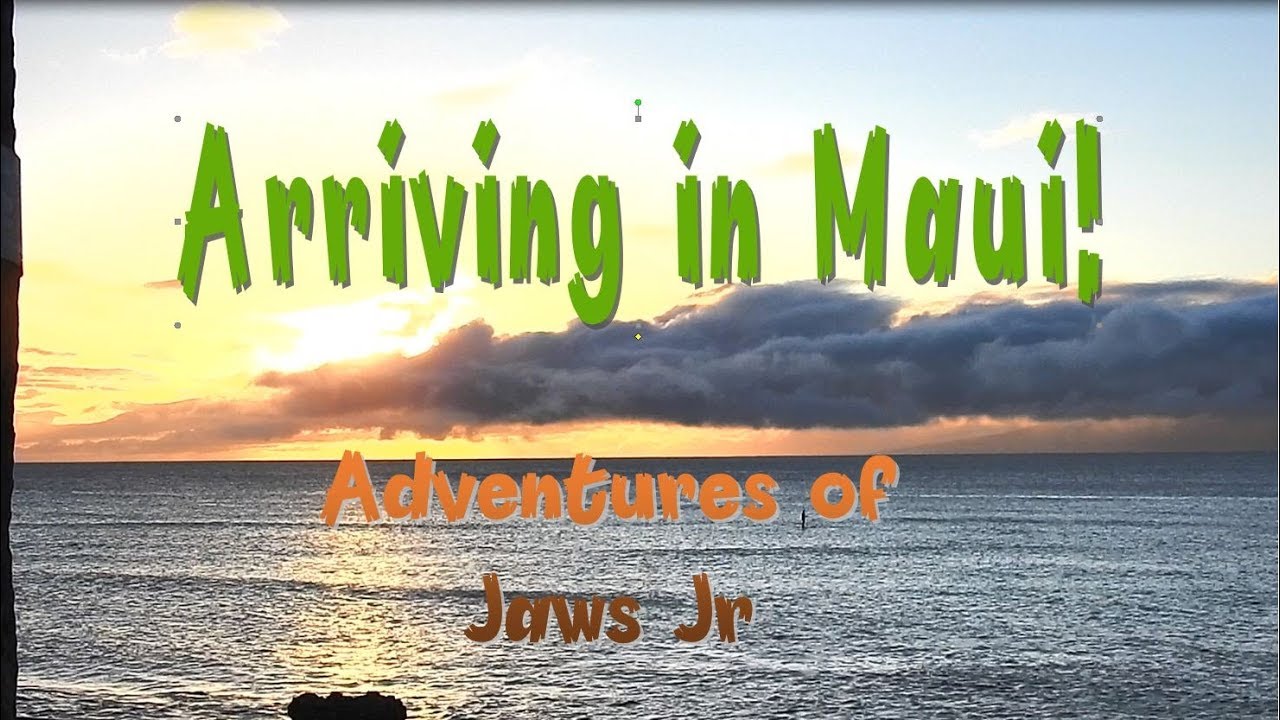 Jaws Jr Arriving in Maui