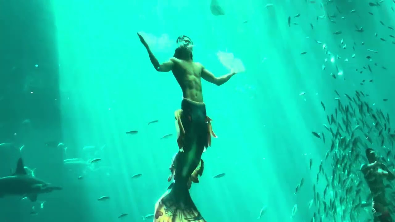 The famous Mermaid Show