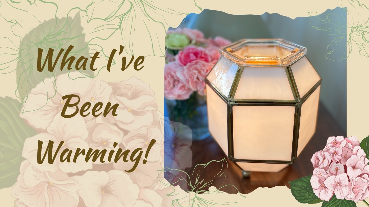 What I’ve  Been Warming! 