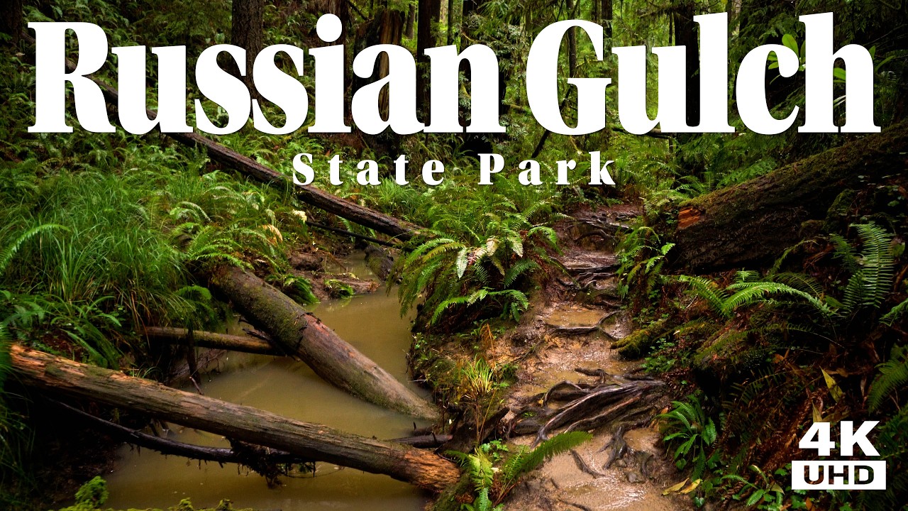 Russian Gulch State Park - Redwood Tree Lined Creek Trail to Amazing Waterfall Walk.