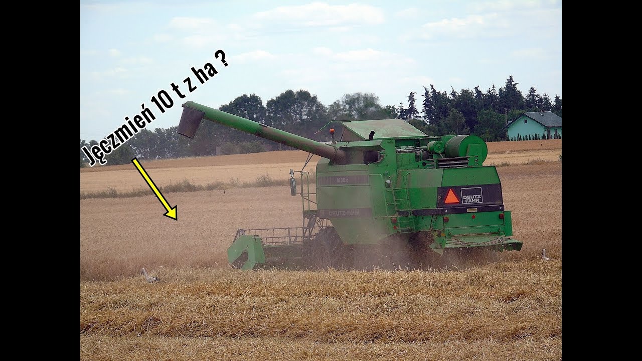 Żniwa 2019 | Jęczmień Ozimy |  Deutz Fahr M36.10 | John Deere 6620 |