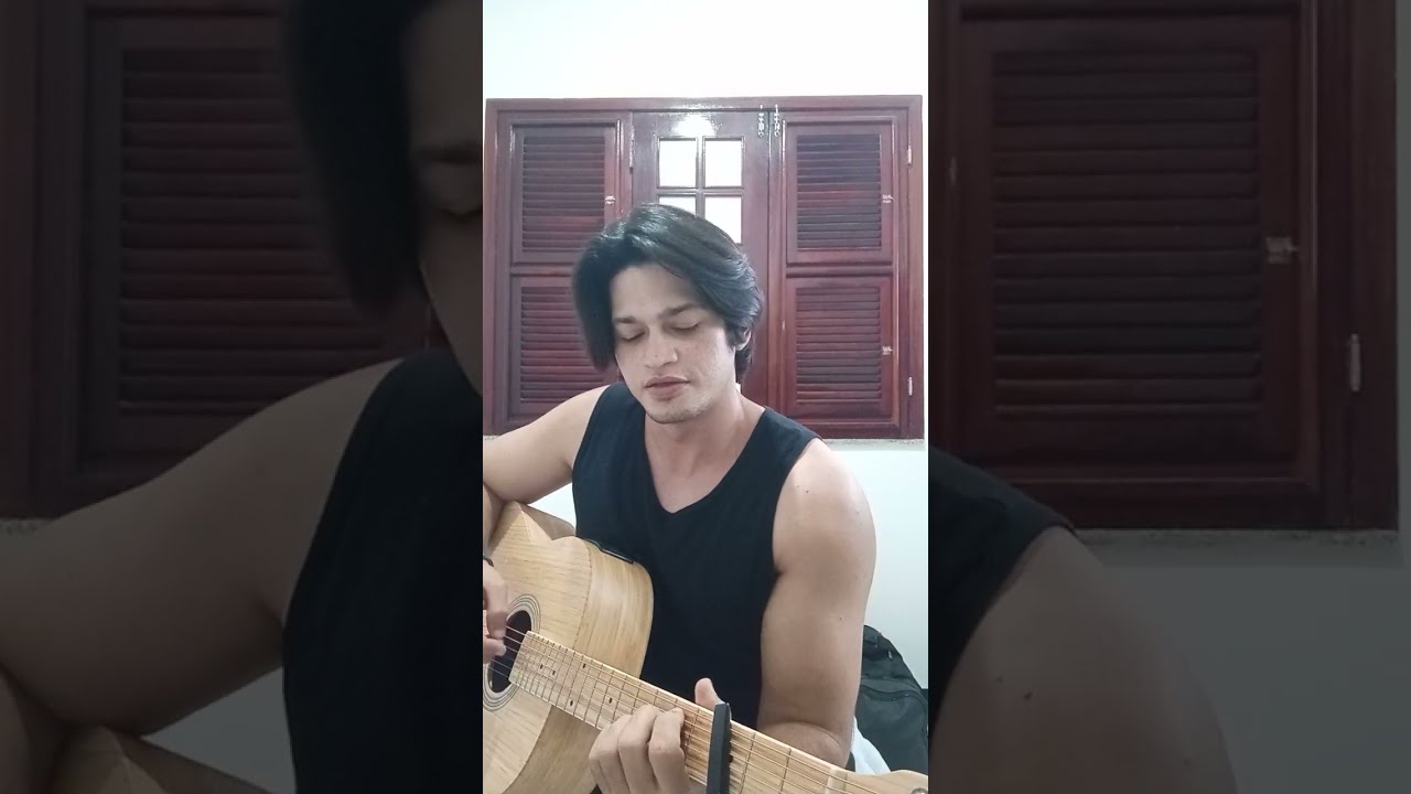 Something for Kate - Blue Bird (cover)