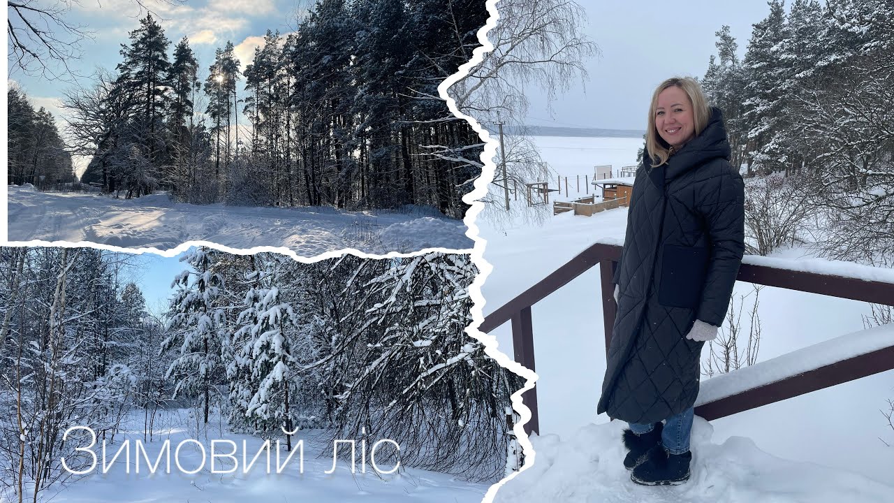 Краса зимового лісу. Природа надихає, мотивує, зачаровує