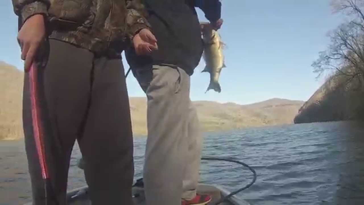 Bluestone Lake!! 12lb sack! Jig fishing