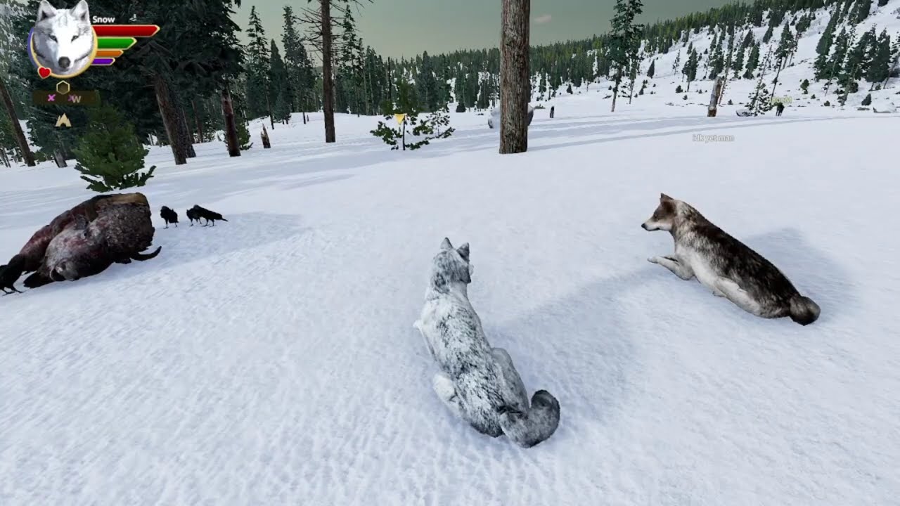 Wolf Quest Snow's Journey EP 1 New Beginnings