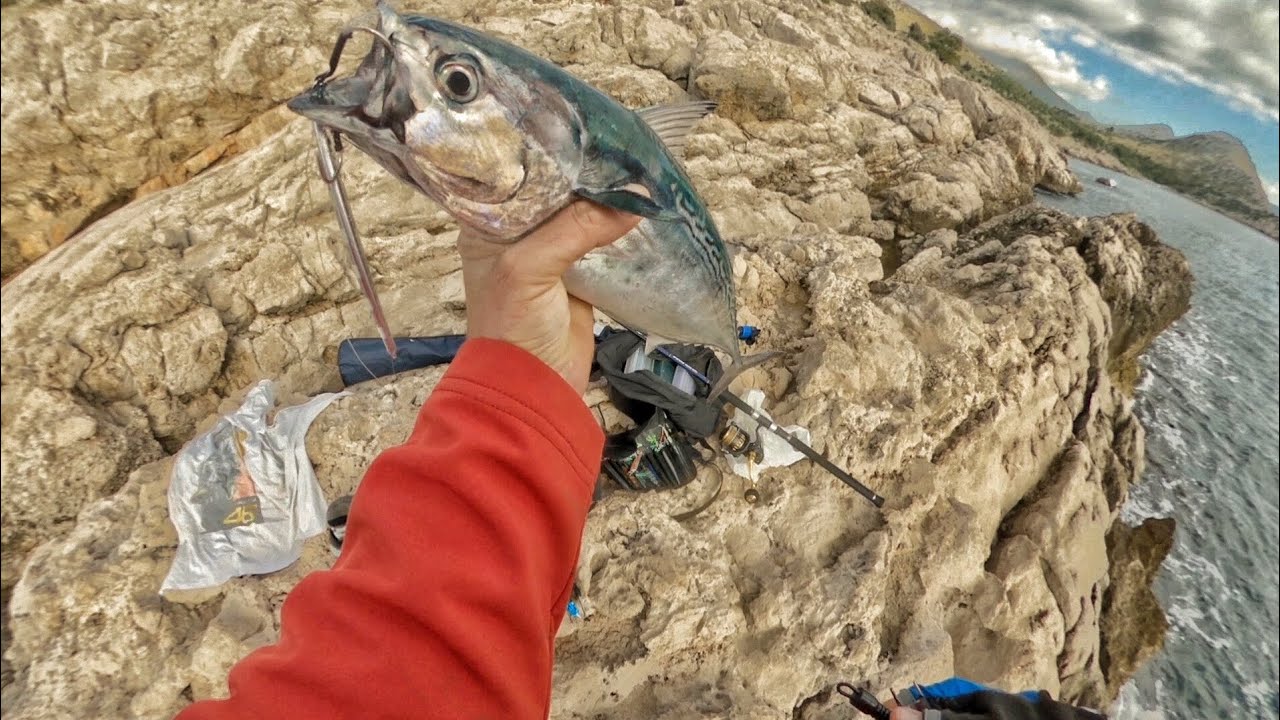 Shore jigging game in Montenegro- 2 lizard fish on 1 jig !