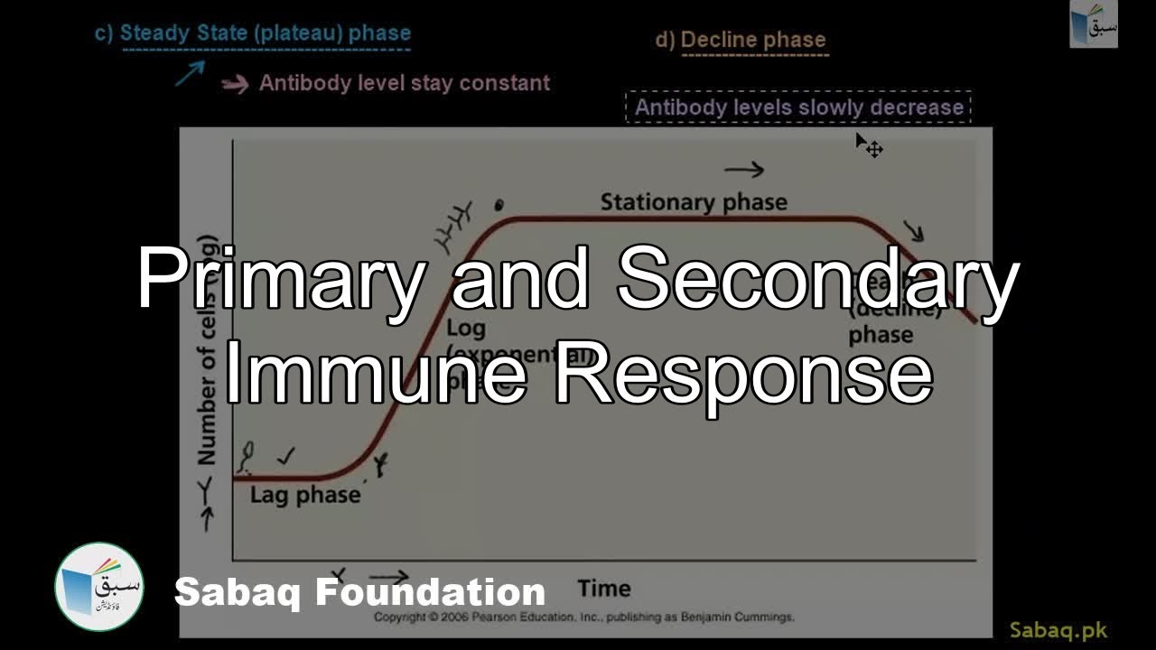 Primary and Secondary Immune Response, Biology Lecture | Sabaq.pk