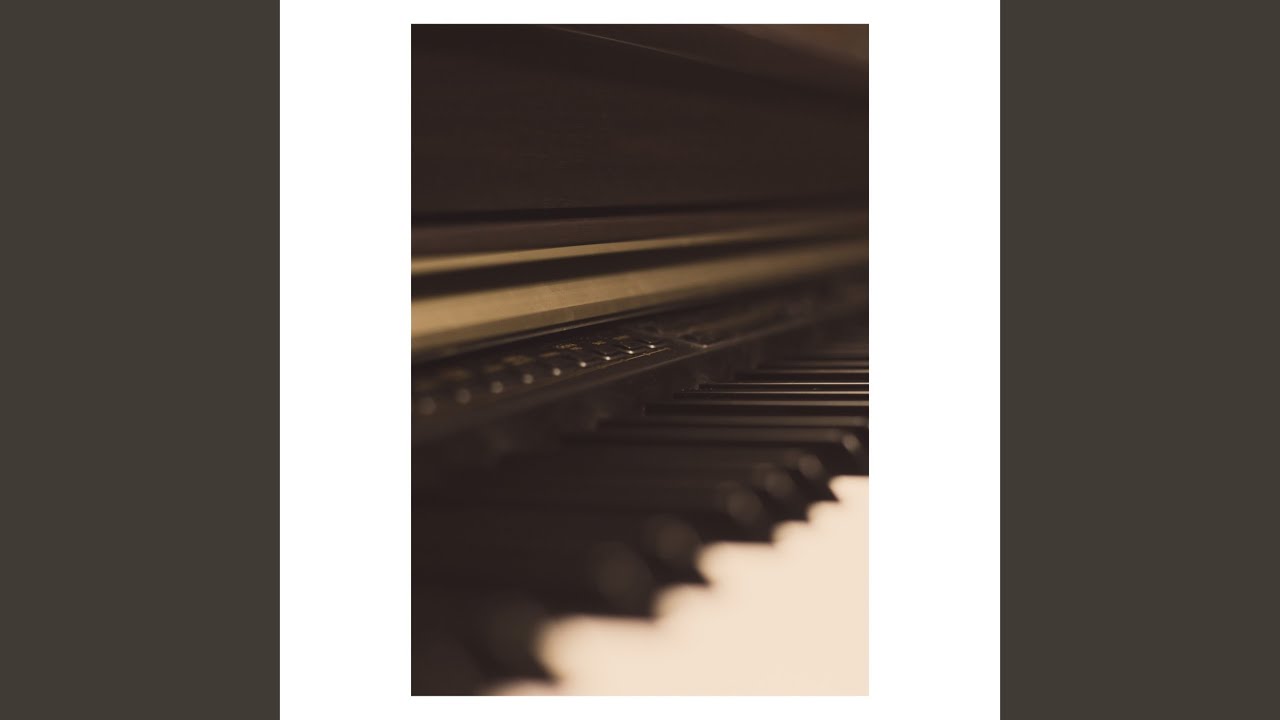 Harmony in Piano Paws