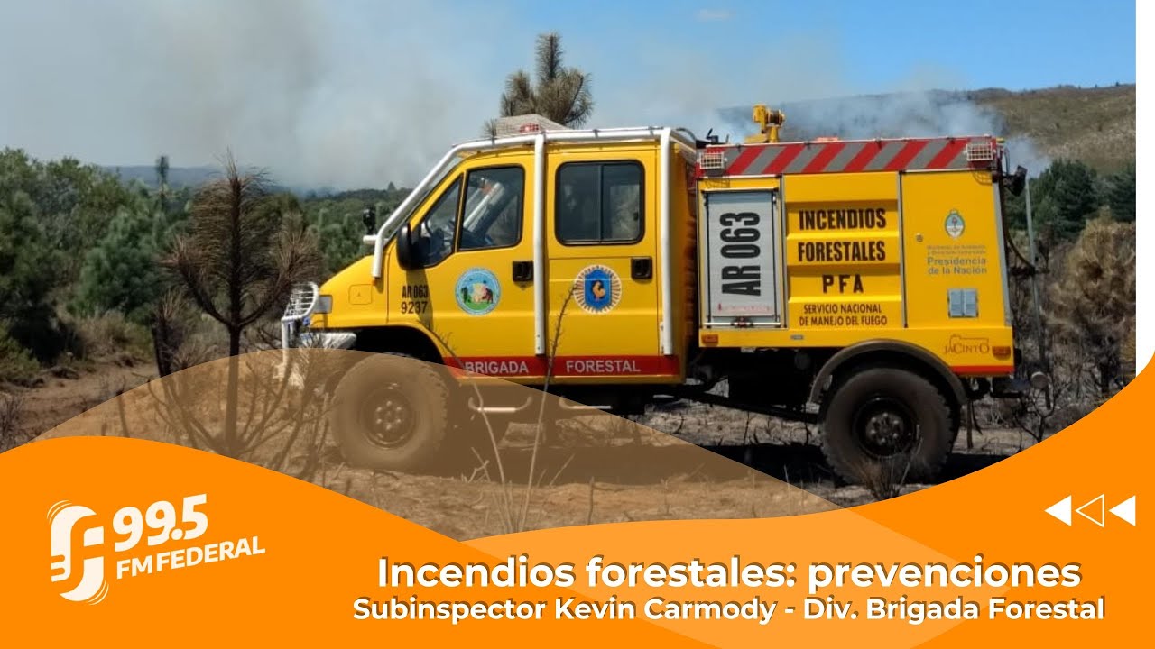 Incendios forestales: prevención, riesgos y el trabajo de la Brigada Forestal I Mañana Federal