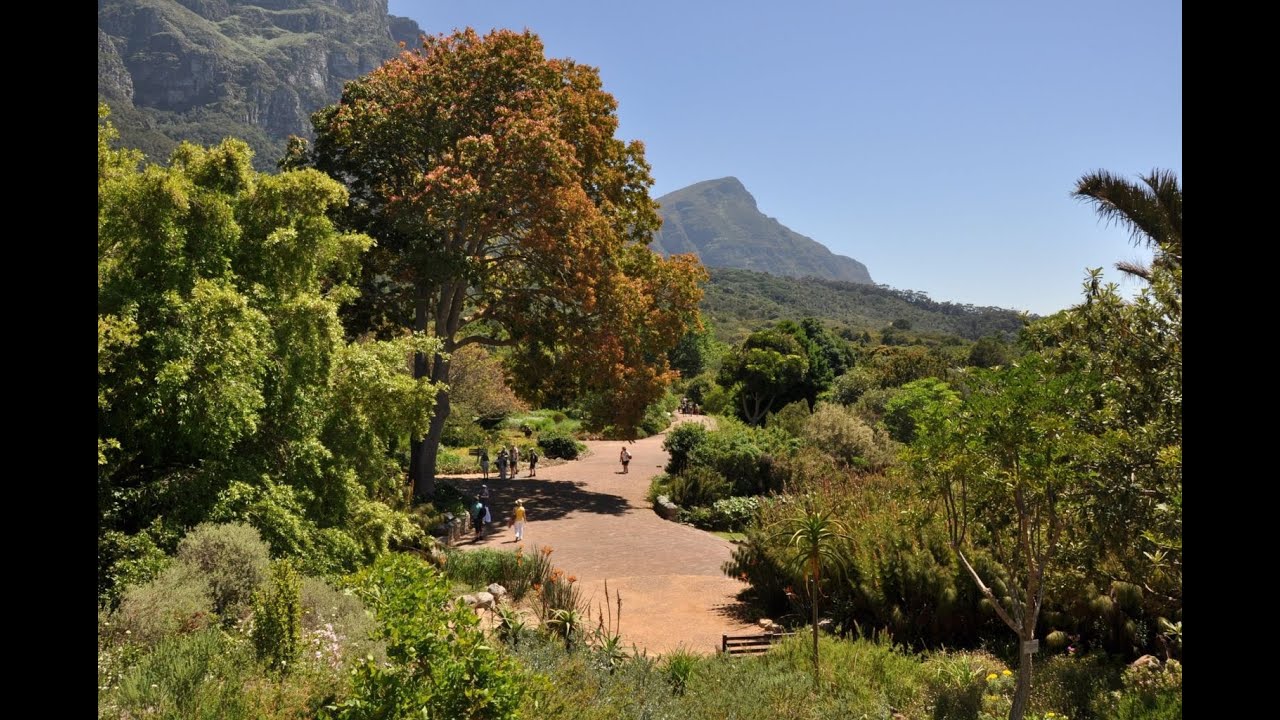 Alice Notten, Information Officer, Kirstenbosch Gardens, South Africa - 10 April 2024