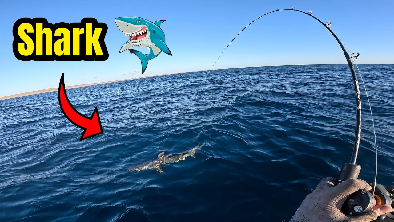 Ningaloo/Exmouth Kayak Fishing Australia