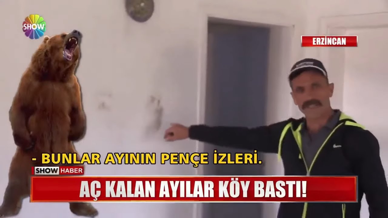Aç kalan ayılar köy bastı!