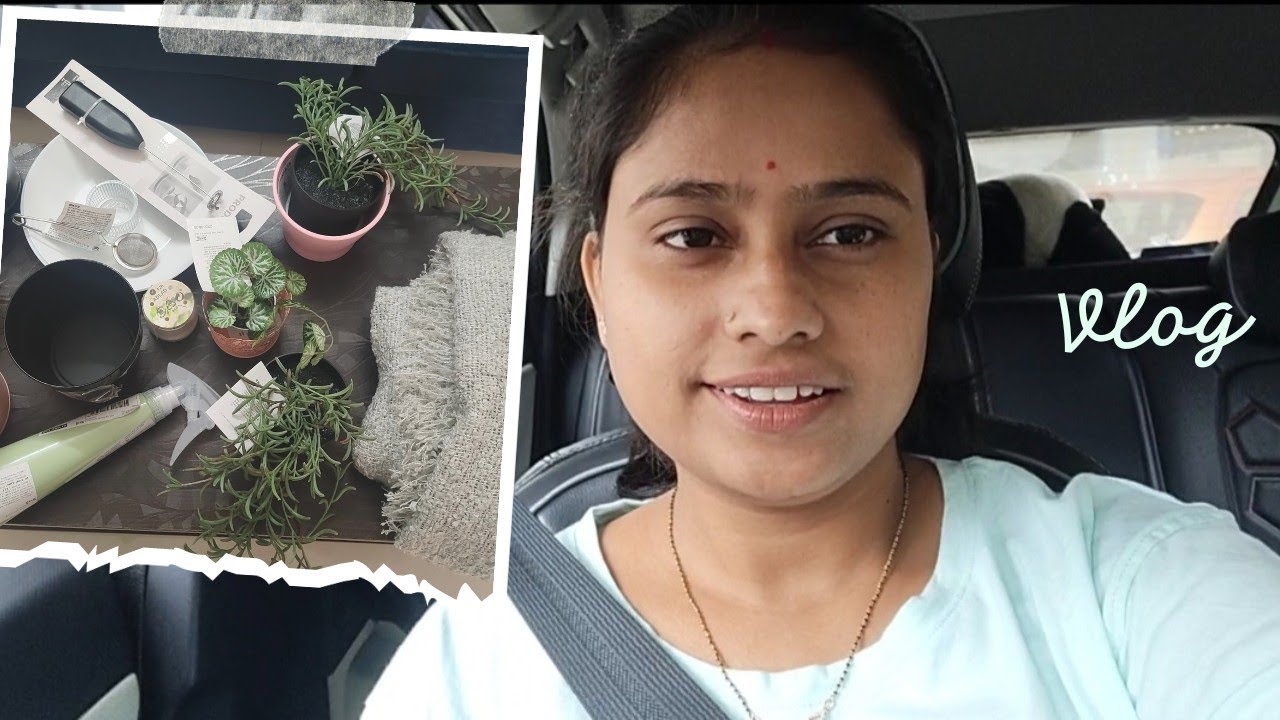 Vlog # IKEA mini Haul # Odia Vlog # Survi's Simple life