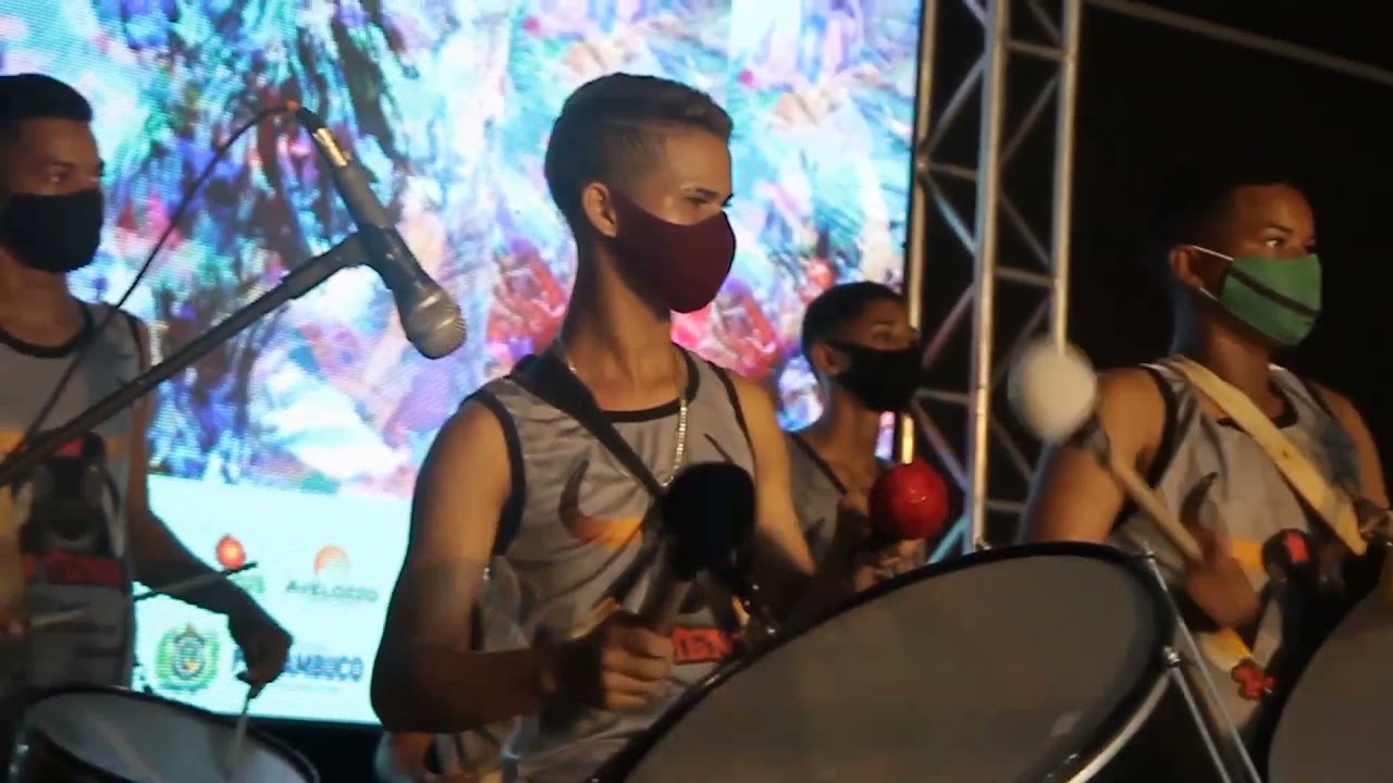 Boi Teimoso