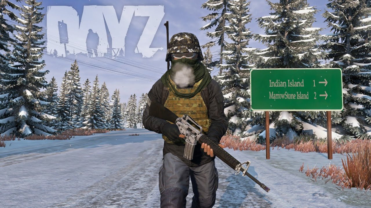 DayZ - Une dernière AVENTURE sur PNW WINTER 