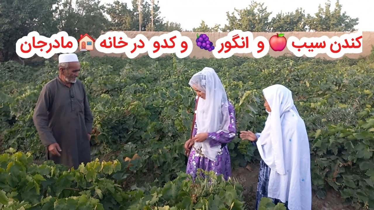 صغرا خانم با خسورمادر ویک روزکاری زندگی مشترک شان.     Bride with mother in law and Grape 🍇  🍏 👰‍♀ 