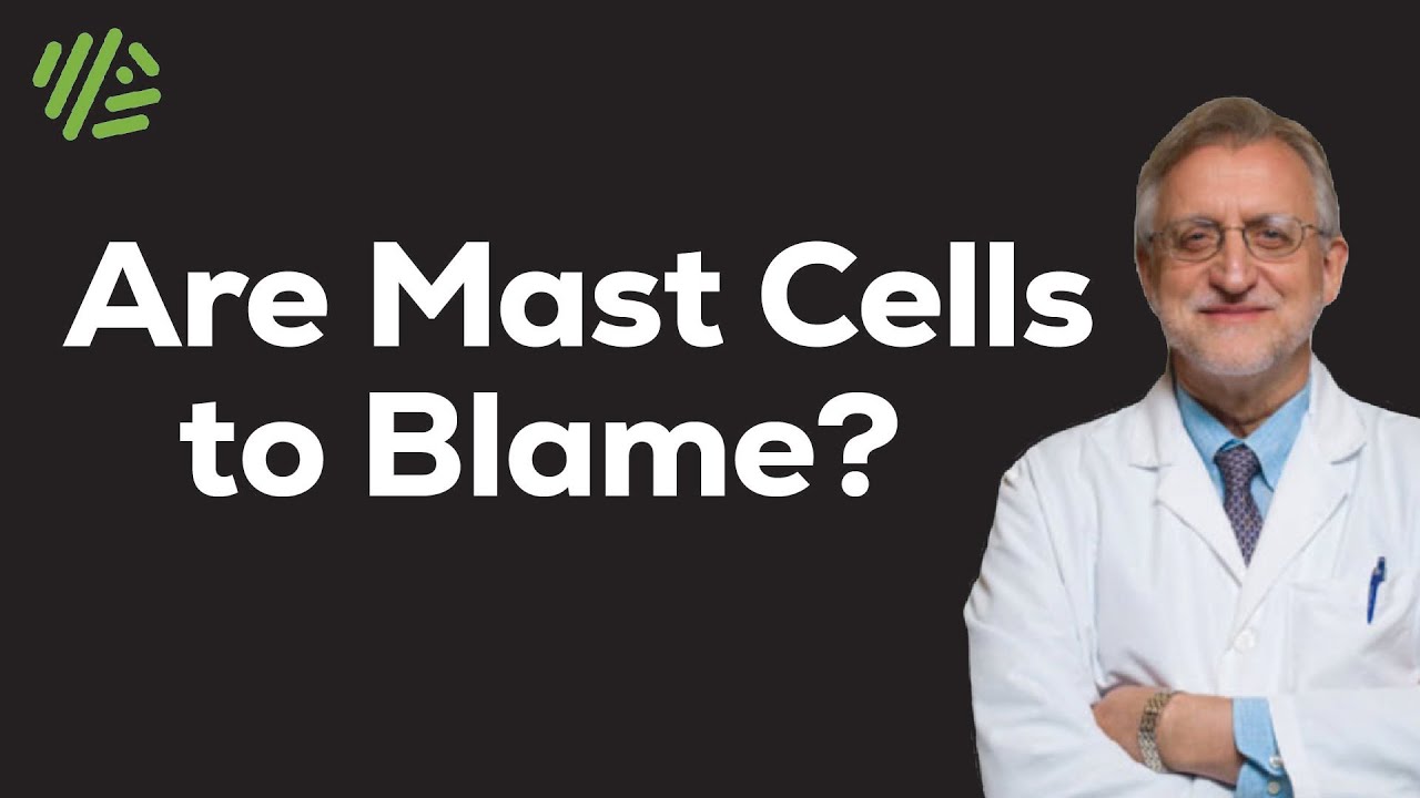 A Deep Dive into Mast Cells and the Immune System