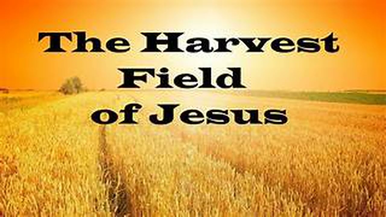 10,OUR HOMES AS PLATFORMS FOR CONSERVING THE HARVEST PART 1 BY GBILE AKANNI