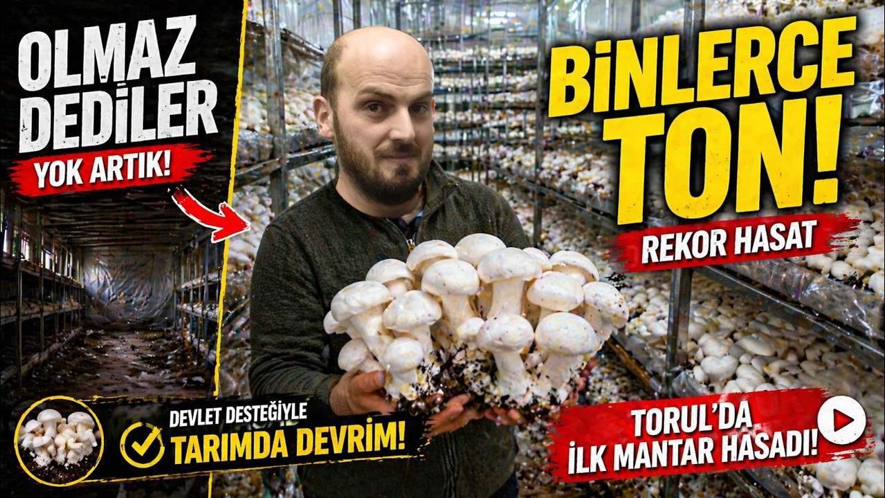 Olmaz denileni yaptı şimdi binlerce ton mantar üretiyor